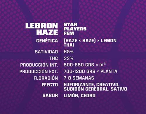Lebron Haze feminisierte Cannabis Samen Produktbeschreibung aus dem Sensoryseeds Shop