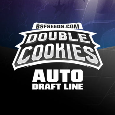 Logo von Double Cookies auto Cannabis Samen um BSF Packung kaufen