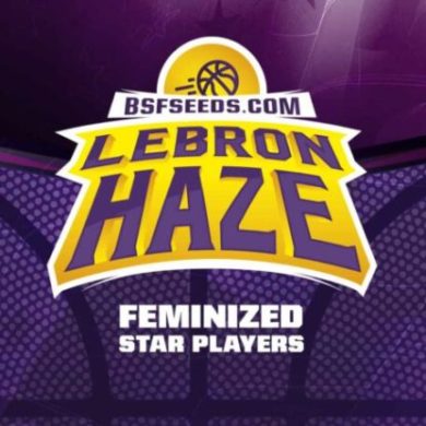 Logo von Lebron Haze um feminisierte Cannabis Samen BSF bestellen