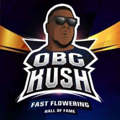 Logo von Obg Kush um schnelle Cannabis Samen BSF bestellen
