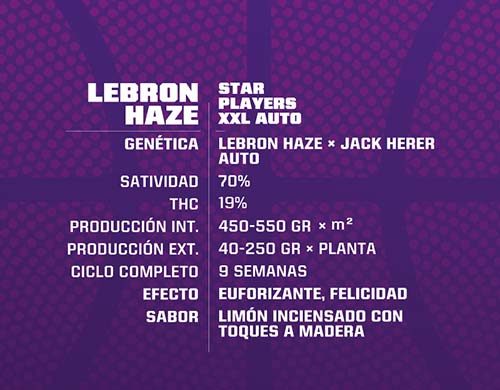 SensorySeeds Beschreibung der autoflowering Lebron Haze Cannabissamen BSF Packung