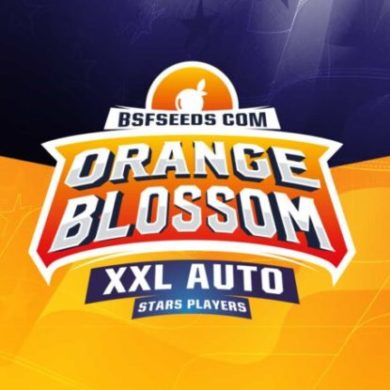 Titelbild von Orange Blossom autoflowering Cannabis Samen Packung aus dem Sensoryseeds Shop