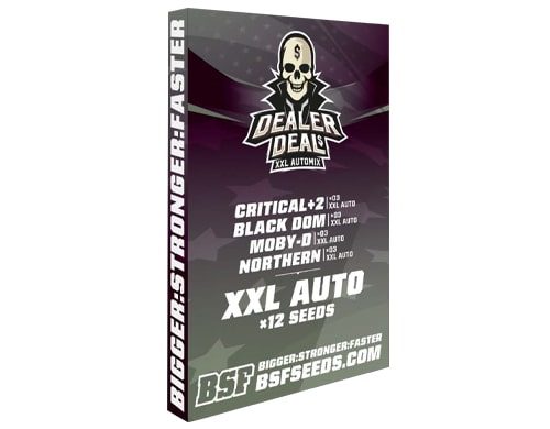 Kit mit auto Cannabissamen Dealer Deal XXL Automix von Sensoryseeds Shop