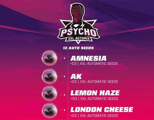 PsychoXXL Automix Cannabis Samen Produktbeschreibung aus dem Sensoryseeds Shop