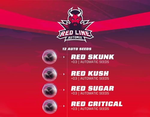 Red Line Automix Cannabis Samen Produktbeschreibung aus dem Sensoryseeds Shop