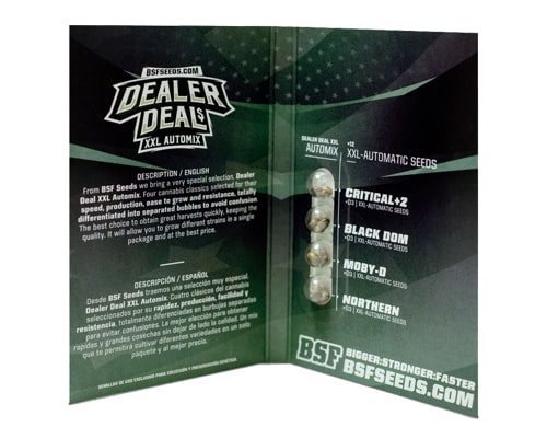 Titelbild von Dealer Deal XXL Automix Produktbeschreibung mit Cannabis Samen BSF Informationen