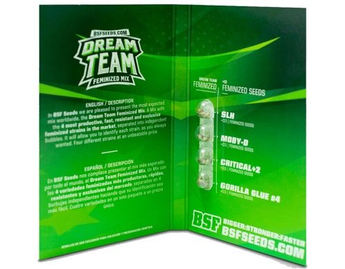 Titelbild von Dream Team Feminized Mix