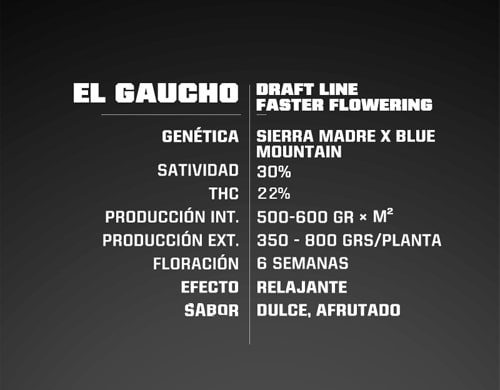 Titelbild von El Gaucho Produktbeschreibung um schnelle Cannabis Samen BSF bestellen
