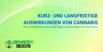 Die kurz- und langfristigen Auswirkungen von Cannabis.