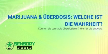 Die ganze Wahrheit über Marihuana Überdosis