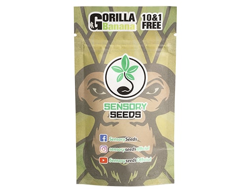 verpacken cannabis samen gorilla banana