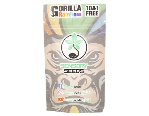verpacken cannabis samen gorilla rainbows
