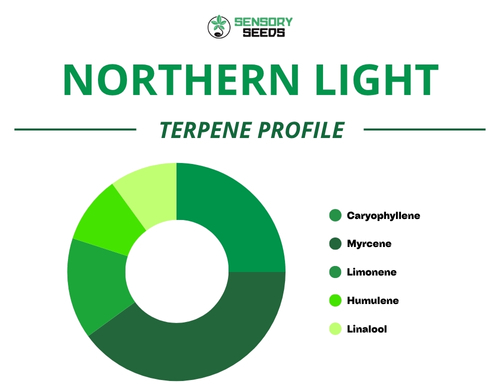Kreisdiagramm des Terpenprofils der Sorte Northern Light