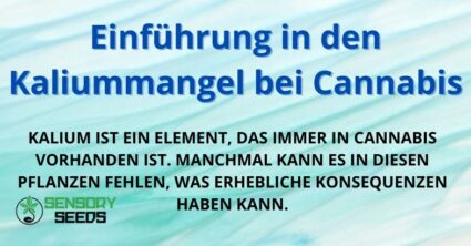 Einführung in den Kaliummangel bei Cannabis