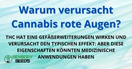 Warum verursacht Cannabis rote Augen?