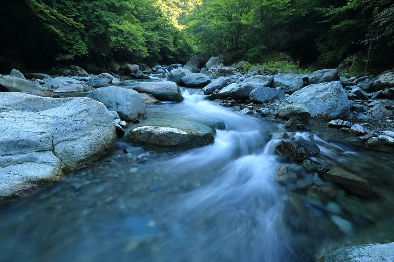 Die Rolle des Wassers