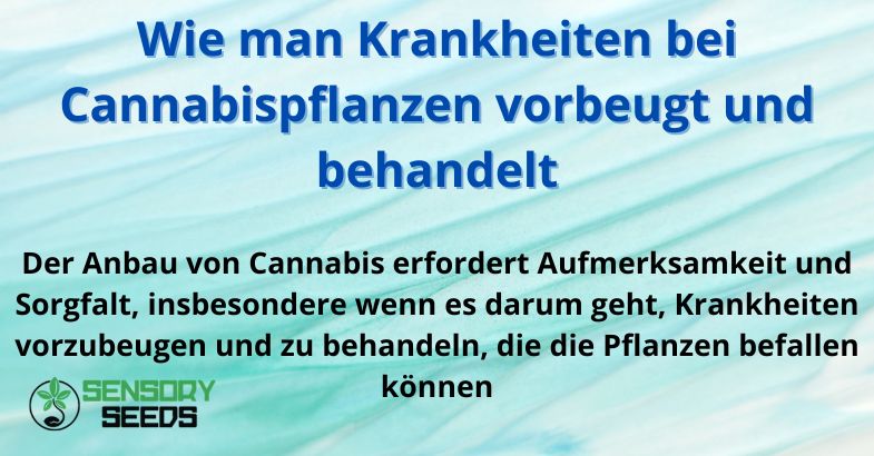 Wie man Krankheiten bei Cannabispflanzen vorbeugt und behandelt