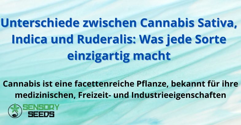 Unterschiede zwischen Cannabis Sativa, Indica und Ruderalis