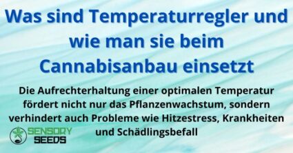 Was sind Temperaturregler und wie man sie beim Cannabisanbau einsetzt