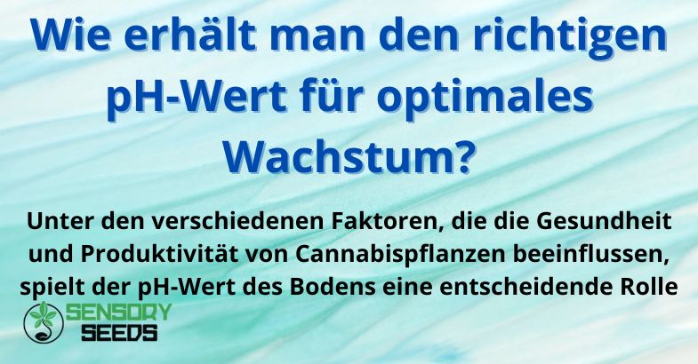 Wie erhält man den richtigen pH-Wert für optimales Wachstum?