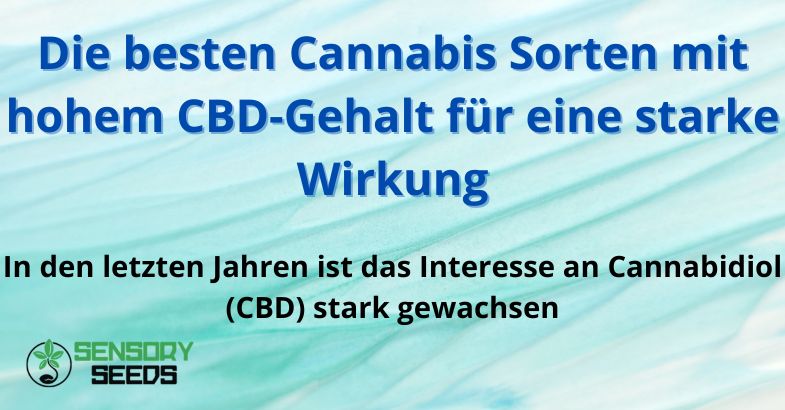 Die besten Cannabis Sorten mit hohem CBD-Gehalt