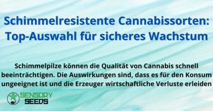 Schimmelresistente Cannabissorten: Top-Auswahl für sicheres Wachstum