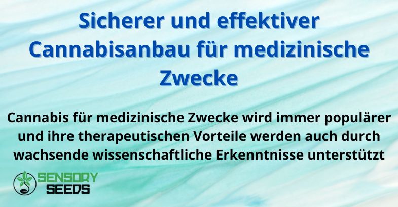 Sicherer und effektiver Cannabisanbau für medizinische Zwecke