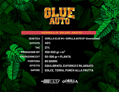 Vollständige Produktbeschreibung Gorilla Glue Auto