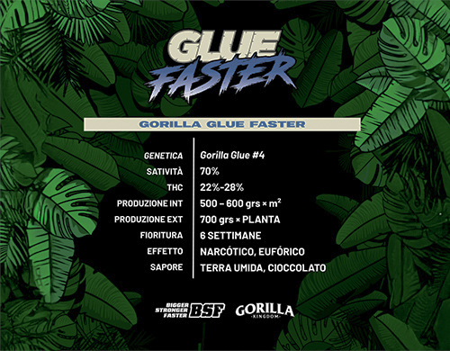 Vollständige Produktbeschreibung Gorilla Glue Faster