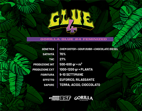 Vollständige Produktbeschreibung Gorilla Glue Fem