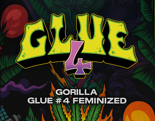 Offizielles Logo von Gorilla Glue Fem