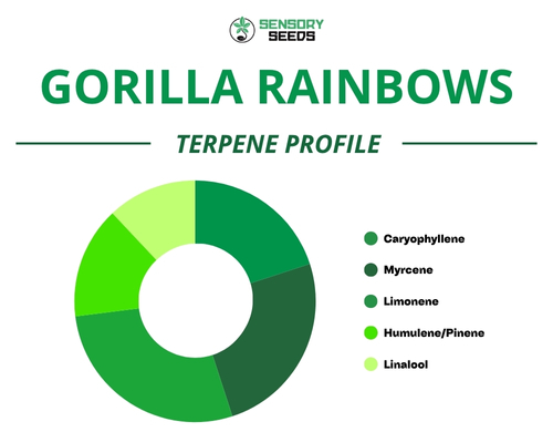 Kreisdiagramm des Terpenprofils der Sorte Gorilla Rainbow