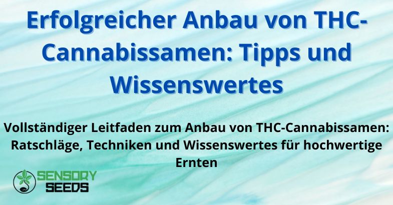 Anbau-von-THC-Cannabissamen Erfolgreicher Anbau von THC-Cannabissamen: Tipps und Wissenswertes