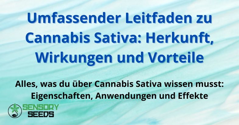 Umfassender-leitfaden-zu-cannabis-sativa Umfassender Leitfaden zu Cannabis Sativa: Herkunft, Wirkungen und Vorteile