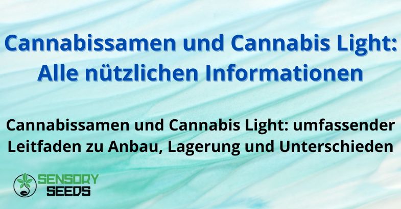 cannabissamen-und-cannabis-light Cannabissamen und Cannabis Light: Alle nützlichen Informationen