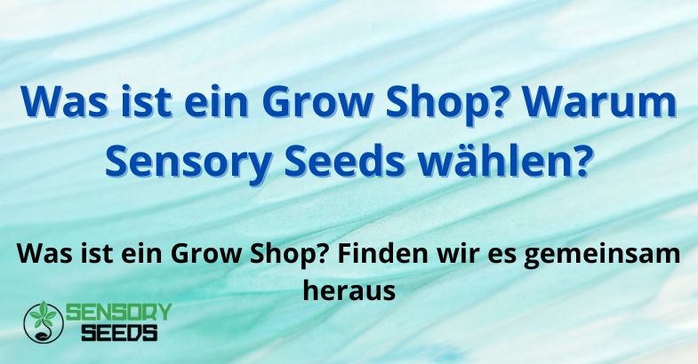 was-ist-eine-grow-shop Was ist ein Grow Shop? Warum Sensory Seeds wählen?